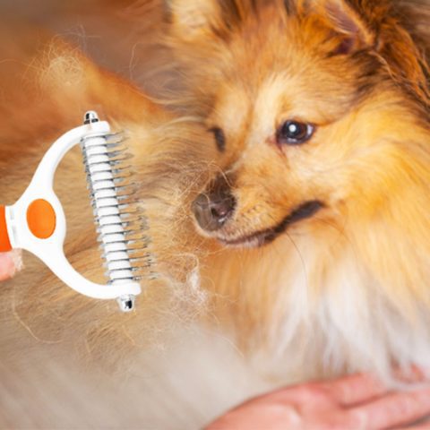 Detangling Brushes for Coily Coats