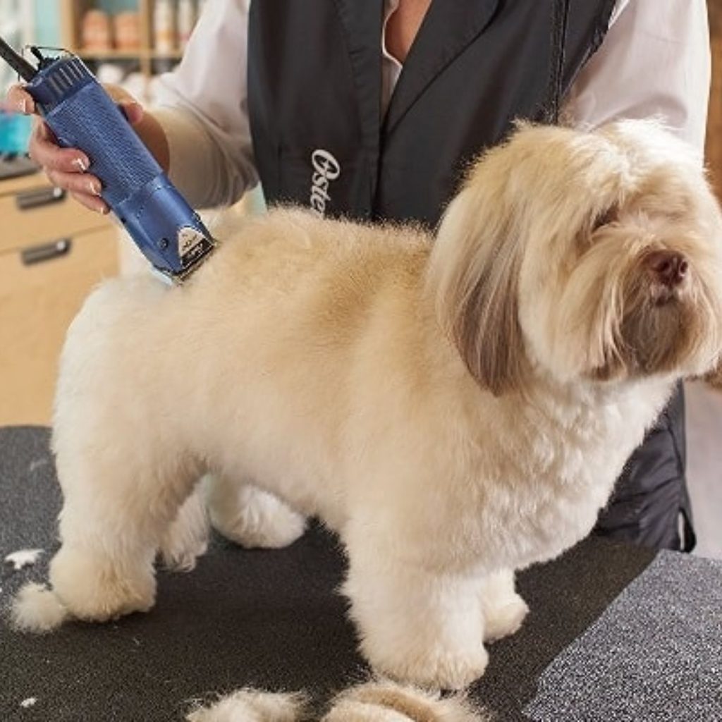 Time-Saving Clippers and Trimmers for dog