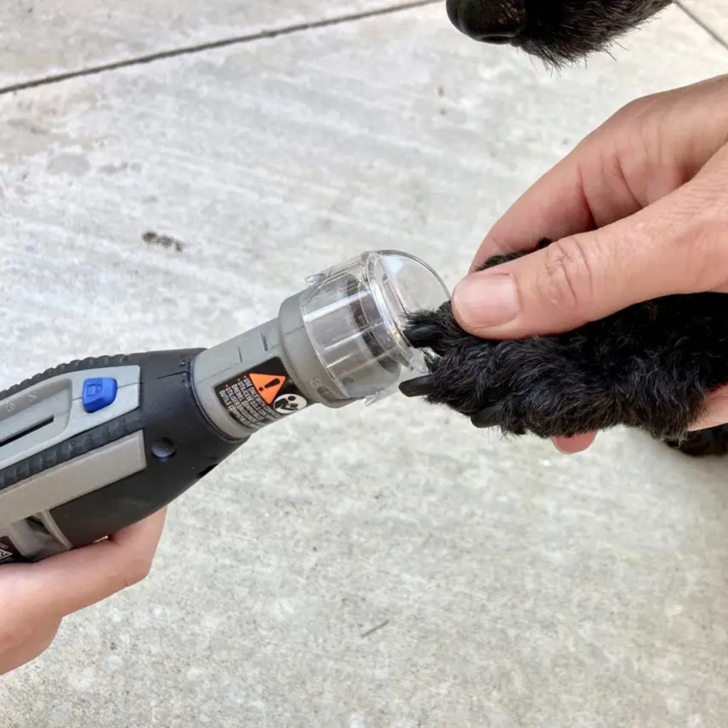 Using a Dremel Tool Effectively for dog