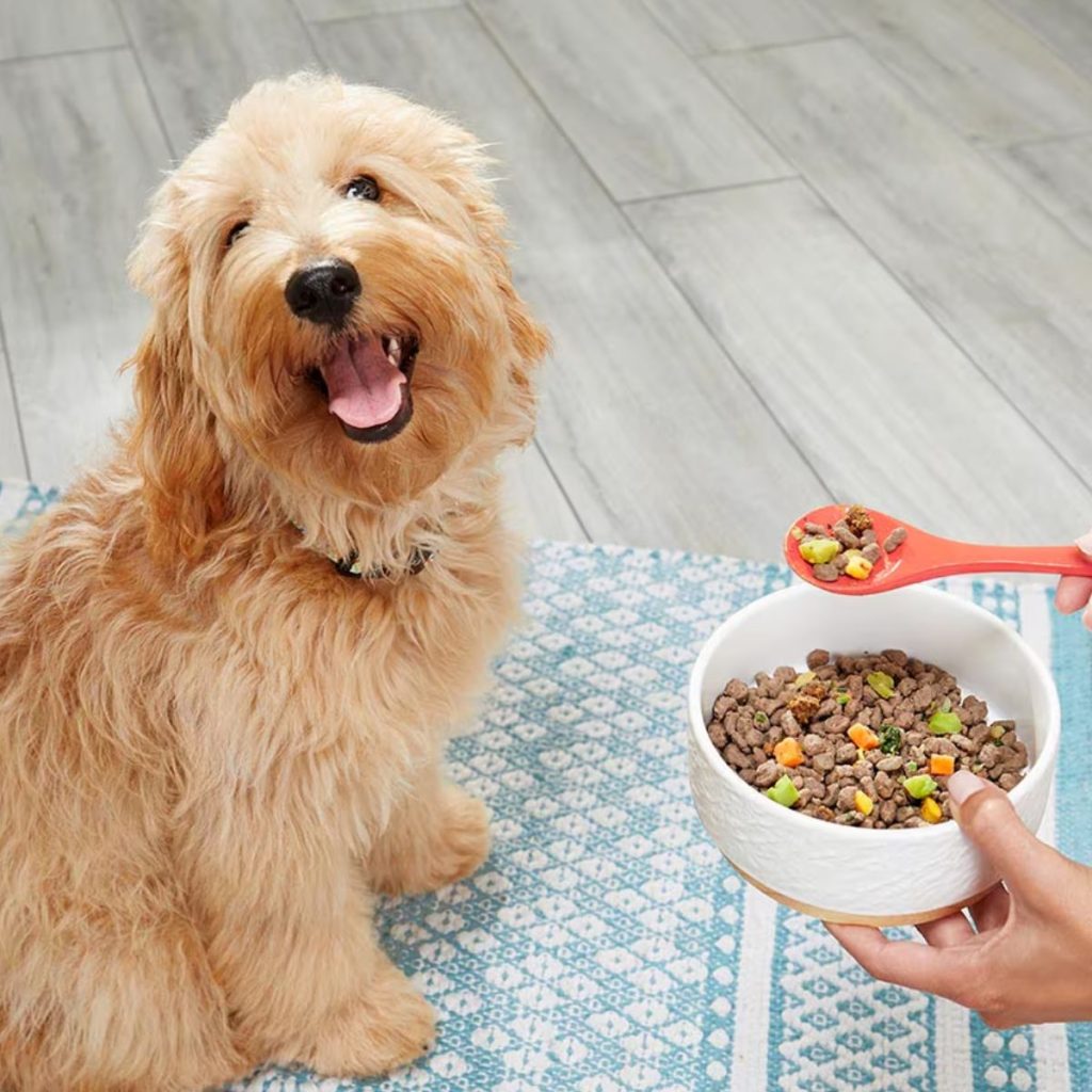 7 Tips for Choosing Healthy Vegetarian Dog Food