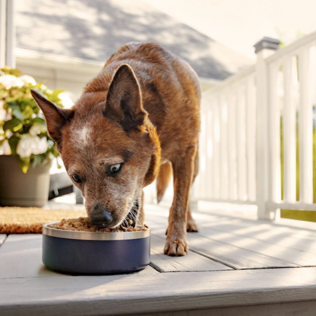 Decoding the Nutritional Value of LID Dog Food