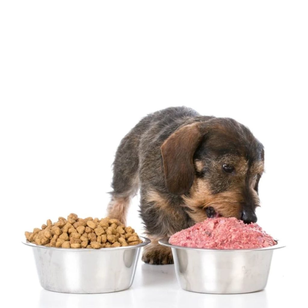 Nutrient-Rich Grain-Free Kibble for small dog